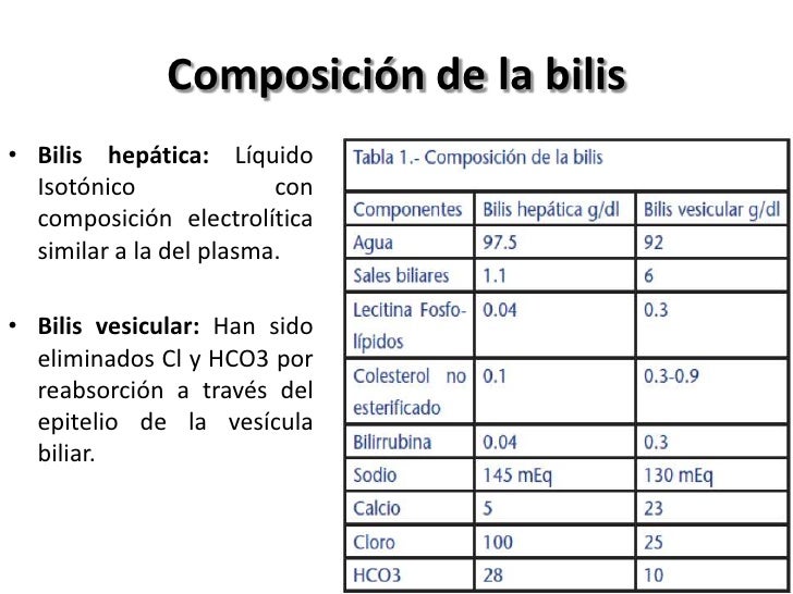 Diferencia Entre Master 1000 Y 500