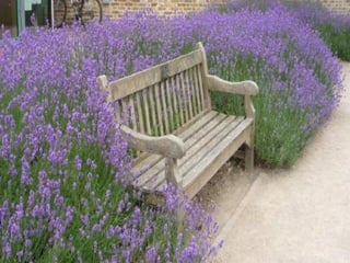 John Cole Director of the Health Estates Investment Group NI and  Richard Murphy OBE Director, Richard Murphy Architects Reducing Acute Admissions to Mental Health Facilities: the Role of the Built Environment