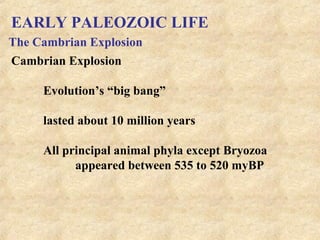 EARLY PALEOZOIC LIFE
Cambrian Explosion
Evolution’s “big bang”
lasted about 10 million years
All principal animal phyla except Bryozoa
appeared between 535 to 520 myBP
The Cambrian Explosion
 