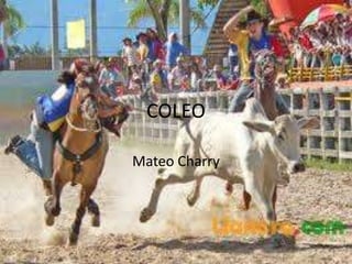 COLEO
Mateo Charry
 