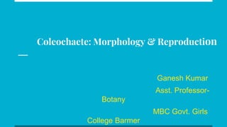 Coleochaete: Morphology & Reproduction
Ganesh Kumar
Asst. Professor-
Botany
MBC Govt. Girls
College Barmer
 