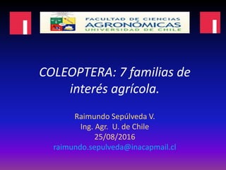 COLEOPTERA: 7 familias de
interés agrícola.
Raimundo Sepúlveda V.
Ing. Agr. U. de Chile
25/08/2016
raimundo.sepulveda@inacapmail.cl
 