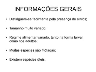 INFORMAÇÕES GERAIS
• Distinguem-se facilmente pela presença de élitros;

• Tamanho muito variado;

• Regime alimentar variado, tanto na forma larval
  como nos adultos;

• Muitas espécies são fitófagas;

• Existem espécies úteis.
 