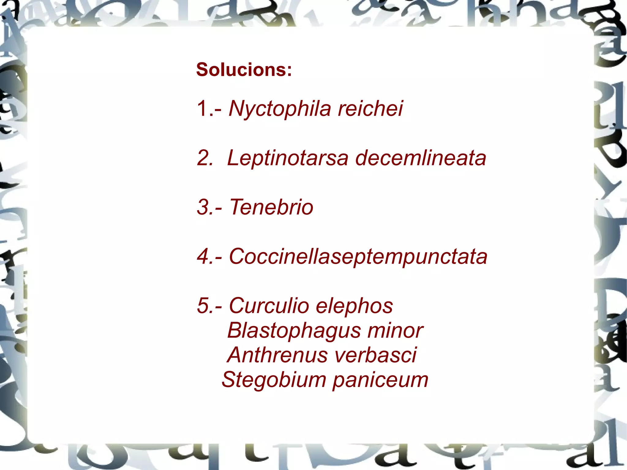 Tenebrio molitor Lasioderma serricorne 