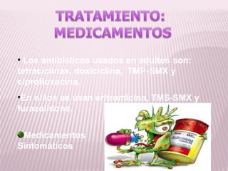 • Los antibióticos usados en adultos son:
tetraciclinas, doxiciclina, TMP-SMX y
ciprofloxacina.
•En niños se usan eritromicina, TMS-SMX y
furazolidona.


 Medicamentos
Sintomáticos
 
