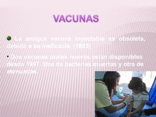 La antigua vacuna inyectable es obsoleta,
debido a su ineficacia. (1885)
• Dos vacunas orales nuevas están disponibles
desde 1997. Una de bacterias muertas y otra de
atenuadas.
 
