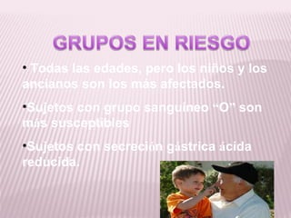 • Todas las edades, pero los niños y los
ancianos son los más afectados.
•Sujetos con grupo sanguineo “O” son
más susceptibles
•Sujetos con secreción gástrica ácida
reducida.
 