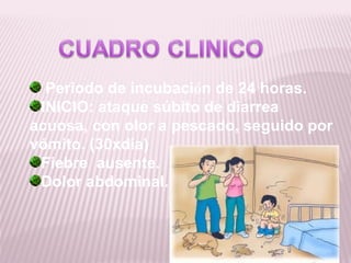 Periodo de incubación de 24 horas.
 INICIO: ataque súbito de diarrea
acuosa, con olor a pescado, seguido por
vómito. (30xdía)
 Fiebre ausente.
 Dolor abdominal.
 