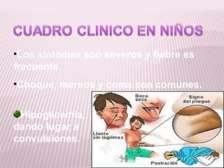 •Los síntomas son severos y fiebre es
frecuente.
•Choque, mareos y coma son comunes.


 Hipoglicemia,
dando lugar a
convulsiones.
 