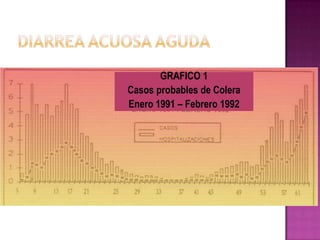 GRAFICO 1
Casos probables de Colera
Enero 1991 – Febrero 1992
 