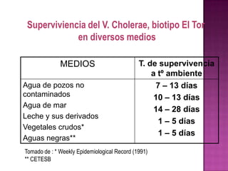 Superviviencia del V. Cholerae, biotipo El Tor
             en diversos medios

              MEDIOS                          T. de supervivencia
                                                  a tº ambiente
Agua de pozos no                                   7 – 13 días
contaminados                                       10 – 13 días
Agua de mar
                                                   14 – 28 días
Leche y sus derivados
                                                    1 – 5 días
Vegetales crudos*
                                                    1 – 5 días
Aguas negras**
Tomado de : * Weekly Epidemiological Record (1991)
** CETESB
 