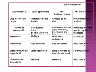 Zonas Endémicas


  Características   Zonas Epidémicas           País              País Desarrollado
                                          Subdesarrollado

Grupo etario de     Preferentemente     Menores de 15           Preferentemente
riesgo              Adultos             años                    Adultos

    Modos de        Introducción        Introducción múltiple   Introducción única
   transmisión      única;              (agua, alimentos),      (por lo regular,
                    diseminación oro-   diseminación oro-       mariscos)
                                        fecal
                    fecal
Reservorio          Ausente             Acuáticos*;             Acuáticos*
                                        portadores

Portadores          Poco comunes        Muy frecuentes          Poco comunes


Estado inmune de    Seronegatividad     Seropositividad de      Seronegatividad
la población                            acuerdo a la edad

Diseminación        Variable            Presente                Poco común
Secundaria
 