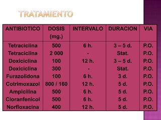 ANTIBIOTICO    DOSIS     INTERVALO DURACION    VIA
               (mg.)
 Tetraciclina   500        6 h.     3 – 5 d.   P.O.
 Tetraciclina  2 000         -       Stat.     P.O.
 Doxiciclina    100        12 h.    3 – 5 d.   P.O.
 Doxiciclina    300          -       Stat.     P.O.
Furazolidona    100        6 h.       3 d.     P.O.
Cotrimoxazol 800 / 160     12 h.      5 d.     P.O.
 Ampicilina     500        6 h.       5 d.     P.O.
Cloranfenicol   500        6 h.       5 d.     P.O.
Norfloxacina    400        12 h.      5 d.     P.O.
 