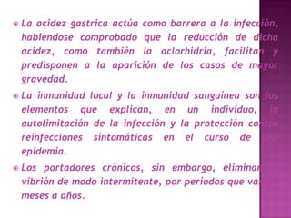    La acidez gastrica actúa como barrera a la infección,
    habiendose comprobado que la reducción de dicha
    acidez, como también la aclorhidria, facilitan y
    predisponen a la aparición de los casos de mayor
    gravedad.
   La inmunidad local y la inmunidad sanguínea son los
    elementos que explican, en un individuo, la
    autolimitación de la infección y la protección contra
    reinfecciones sintomáticas en el curso de una
    epidemia.
   Los portadores crónicos, sin embargo, eliminan el
    vibrión de modo intermitente, por períodos que van de
    meses a años.
 