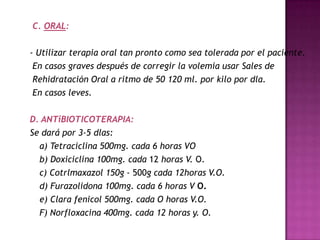 C. ORAL:

- Utilizar terapia oral tan pronto como sea tolerada por el paciente.
 En casos graves después de corregir la volemia usar Sales de
 Rehidratación Oral a ritmo de 50 120 ml. por kilo por dla.
 En casos leves.

D. ANTiBIOTICOTERAPIA:
Se dará por 3-5 dlas:
  a) Tetraciclina 500mg. cada 6 horas VO
  b) Doxiciclina 100mg. cada 12 horas V. O.
  c) Cotrlmaxazol 150g - 500g cada 12horas V.O.
  d) Furazolidona 100mg. cada 6 horas V O.
  e) Clara fenicol 500mg. cada O horas V.O.
  F) Norfloxacina 400mg. cada 12 horas y. O.
 