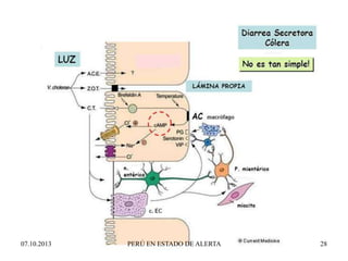 07.10.2013 PERÚ EN ESTADO DE ALERTA 28
 