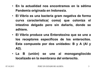 • En la actualidad nos encontramos en la sétima
Pandemia originada en Indonesia.
• El Vibrio es una bacteria gram negativa de forma
curva característica( coma) que coloniza el
intestino delgado pero sin dañarlo, donde se
adhiere.
• El Vibrio produce una Enterotoxina que se une a
los receptores especificos de los enterocitos.
Esta compuesta por dos unidades: B y A (Al y
A2).
• La B (unión) se une al monogangliocido
localizado en la membrana del enterocito.
07.10.2013 PERÚ EN ESTADO DE ALERTA 3
 