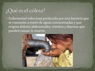  Enfermedad infecciosa producida por una bacteria que
se transmite a través de aguas contaminadas y que
origina dolores abdominales, vómitos y diarreas que
pueden causar la muerte.
 