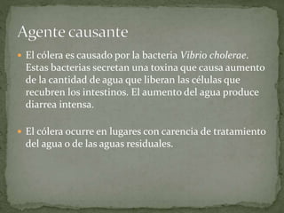  El cólera es causado por la bacteria Vibrio cholerae.
Estas bacterias secretan una toxina que causa aumento
de la cantidad de agua que liberan las células que
recubren los intestinos. El aumento del agua produce
diarrea intensa.
 El cólera ocurre en lugares con carencia de tratamiento
del agua o de las aguas residuales.
 