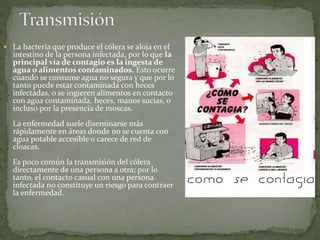  La bacteria que produce el cólera se aloja en el
intestino de la persona infectada, por lo que la
principal vía de contagio es la ingesta de
agua o alimentos contaminados. Esto ocurre
cuando se consume agua no segura y que por lo
tanto puede estar contaminada con heces
infectadas, o se ingieren alimentos en contacto
con agua contaminada, heces, manos sucias, o
incluso por la presencia de moscas.
La enfermedad suele diseminarse más
rápidamente en áreas donde no se cuenta con
agua potable accesible o carece de red de
cloacas.
Es poco común la transmisión del cólera
directamente de una persona a otra; por lo
tanto, el contacto casual con una persona
infectada no constituye un riesgo para contraer
la enfermedad.
 