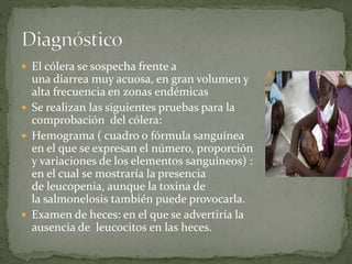  El cólera se sospecha frente a
una diarrea muy acuosa, en gran volumen y
alta frecuencia en zonas endémicas
 Se realizan las siguientes pruebas para la
comprobación del cólera:
 Hemograma ( cuadro o fórmula sanguínea
en el que se expresan el número, proporción
y variaciones de los elementos sanguíneos) :
en el cual se mostraría la presencia
de leucopenia, aunque la toxina de
la salmonelosis también puede provocarla.
 Examen de heces: en el que se advertiría la
ausencia de leucocitos en las heces.
 