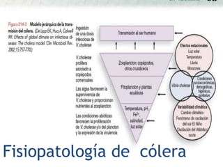 Fisiopatología de cólera
 