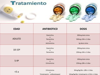 EDAD ANTIBIOTICO DOSIS
ADULTO
Doxiciclina
o
Tetraciclina
o
Azitromicina
300mg dosis única
500mg c/6hr x 3 días
1g dosis única
10-15ª
Doxiciclina
o
Tetraciclina
200mg dosis única
250mg c/6hr x 3 días
5-9ª
Doxiciclina
o
Eritromicina
100mg dosis única
259mg c/8hr x 3 días
<5 a
Eritromicina
o
Trimetroprim - sulfametoxazol
30mg/kg/día c/8hr x 3 días
10mg/kg/día trimetroprim c/12hr x 3 días
 