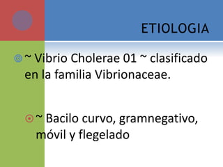 ETIOLOGIA
~ Vibrio Cholerae 01 ~ clasificado
en la familia Vibrionaceae.
~ Bacilo curvo, gramnegativo,
móvil y flegelado
 