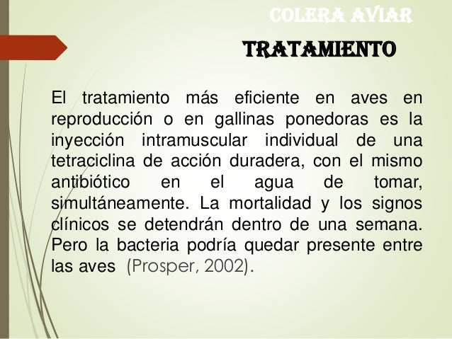 Que llama la dependencia alcohólica