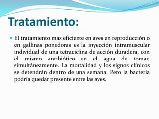 Tratamiento:
 El tratamiento más eficiente en aves en reproducción o
en gallinas ponedoras es la inyección intramuscular
individual de una tetraciclina de acción duradera, con
el mismo antibiótico en el agua de tomar,
simultáneamente. La mortalidad y los signos clínicos
se detendrán dentro de una semana. Pero la bacteria
podría quedar presente entre las aves.
 