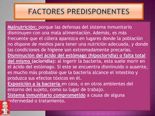 Malnutrición: porque las defensas del sistema inmunitario
disminuyen con una mala alimentación. Además, es más
frecuente que el cólera aparezca en lugares donde la población
no dispone de medios para tener una nutrición adecuada, y donde
las condiciones de higiene son extremadamente precarias.
Disminución del ácido del estómago (hipocloridia) o falta total
del mismo (acloridia): al ingerir la bacteria, esta suele morir en
el ácido del estómago. Si este se encuentra disminuido o ausente,
es mucho más probable que la bacteria alcance el intestino y
produzca sus efectos tóxicos en él.
Exposición a la bacteria en casa, o en otros ambientes del
entorno del sujeto, como su lugar de trabajo.
Sistema inmunitario comprometido a causa de alguna
enfermedad o tratamiento.
 