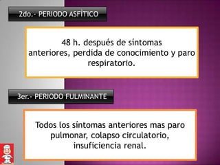 2do.- PERIODO ASFÌTICO


           48 h. después de síntomas
   anteriores, perdida de conocimiento y paro
                  respiratorio.


3er.- PERIODO FULMINANTE


    Todos los síntomas anteriores mas paro
       pulmonar, colapso circulatorio,
              insuficiencia renal.
 