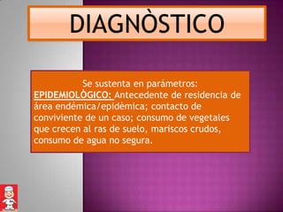 DIAGNÒSTICO

           Se sustenta en parámetros:
EPIDEMIOLÒGICO: Antecedente de residencia de
área endémica/epidèmica; contacto de
conviviente de un caso; consumo de vegetales
que crecen al ras de suelo, mariscos crudos,
consumo de agua no segura.
 