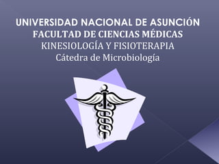 UNIVERSIDAD NACIONAL DE ASUNCIÓN
FACULTAD DE CIENCIAS MÉDICAS
KINESIOLOGÍA Y FISIOTERAPIA
Cátedra de Microbiología
 