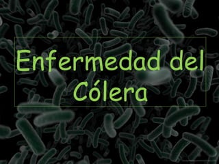 Enfermedad del
Cólera
 