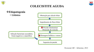 COLECISTITE AGUDA
Etiopatogenia
• Litiásica Obstrução por cálculo biliar
Impedimento do fluxo biliar
Pressão intraluminar
Distensão da vesícula
Isquemia da parede
Drenagem linfática e venosa
Infecção bacteriana secundária.
Gram negativos e anaeróbios
Townsend, MC – Sebastian, 2013
 