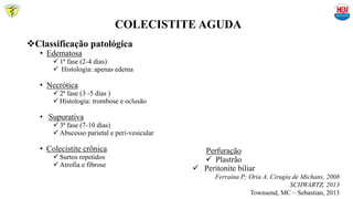 COLECISTITE AGUDA
Classificação patológica
• Edematosa
 1ª fase (2-4 dias)
 Histologia: apenas edema
• Necrótica
 2ª fase (3 -5 dias )
 Histologia: trombose e oclusão
• Supurativa
 3ª fase (7-10 dias)
 Abscesso parietal e peri-vesicular
• Colecistite crônica
 Surtos repetidos
 Atrofia e fibrose
Perfuração
 Plastrão
 Peritonite biliar
Ferraina P; Oria A. Cirugía de Michans, 2008
SCHWARTZ, 2013
Townsend, MC – Sebastian, 2013
 
