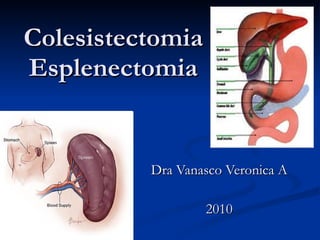 Colesistectomia Esplenectomia Dra Vanasco Veronica A 2010 