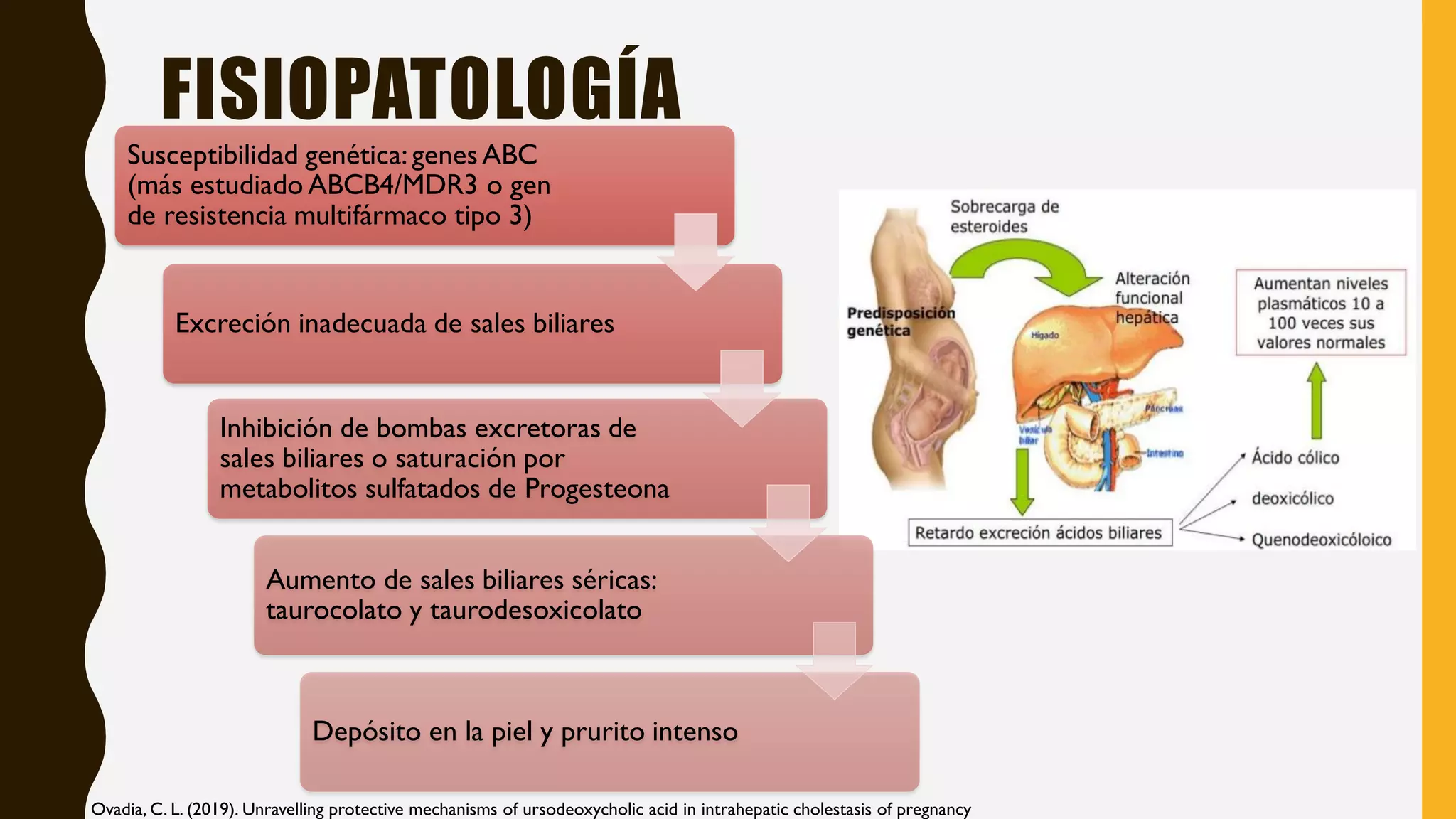 Colestasis intrahepática del embarazo | PDF | Pregnancy | Reproductive ...
