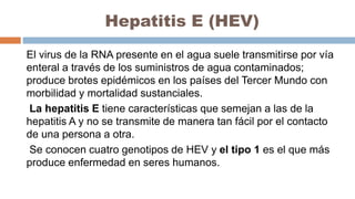 Hepatitis E (HEV)
El virus de la RNA presente en el agua suele transmitirse por vía
enteral a través de los suministros de agua contaminados;
produce brotes epidémicos en los países del Tercer Mundo con
morbilidad y mortalidad sustanciales.
La hepatitis E tiene características que semejan a las de la
hepatitis A y no se transmite de manera tan fácil por el contacto
de una persona a otra.
Se conocen cuatro genotipos de HEV y el tipo 1 es el que más
produce enfermedad en seres humanos.
 