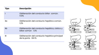 Tipo Descripción
I Obliteración del conducto biliar común.
11.9%
IIa Obliteración del conducto hepático común.
1.2%
IIb Obliteración del conducto hepático, cístico y
biliar común 1.3%
III Obliteración del conducto hepático principal
de la porta 84.1%
 