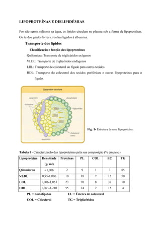 LIPOPROTEÍNAS E DISLIPIDÉMIAS

Por não serem solúveis na água, os lípidos circulam no plasma sob a forma de lipoproteínas.
Os ácidos gordos livres circulam ligados à albumina.
    Transporte dos lípidos
        Classificação e função das lipoproteínas
      Quilomicra: Transporte de triglicéridos exógenos
      VLDL: Transporte de triglicéridos endógenos
      LDL: Transporte de colesterol do fígado para outros tecidos
      HDL: Transporte do colesterol dos tecidos periféricos e outras lipoproteínas para o
           fígado.




                                                     Fig. 1- Estrutura de uma lipoproteína.




Tabela I - Caracterização das lipoproteínas pela sua composição (% em peso)
Lipoproteína     Densidade     Proteínas       PL        COL         EC         TG
                     (g/ ml)
Qilomicron           <1,006        2            9           1         3          85
VLDL             0,95-1,006        10           18          7         12         50
LDL              1,006-1,063       23           20          8         37         10
HDL              1,063-1,210       55           24          2         15         4
      PL = Fosfolípidos                EC = Ésteres de colesterol
      COL = Colesterol                 TG = Triglicéridos
 