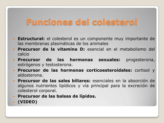 Laura Hernández Pérez