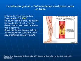 La relación grasas – Enfermedades cardiovaculares  es falsa Estudio de la Universidad de Texas A&M USA  2007. 56 adultos (60-69 años) no activos los que tenían el LDL mas alto desarrollaron mas masa muscular tras el ejercicio Steve Riechman, jefe del estudio: “ si eliminamos el colesterol malo hay problemas serios y muerte.” Estudio de la Universidad de Texas A&M USA. Journal of Gerontology A. Biol. Sci. Med. 2007. 62:1164-71. 