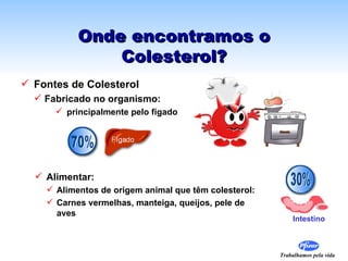 Onde encontramos o
               Colesterol?
 Fontes de Colesterol
   Fabricado no organismo:
       principalmente pelo fígado




   Alimentar:
     Alimentos de origem animal que têm colesterol:
     Carnes vermelhas, manteiga, queijos, pele de
      aves
                                                           Intestino



                                                       Trabalhamos pela vida
 