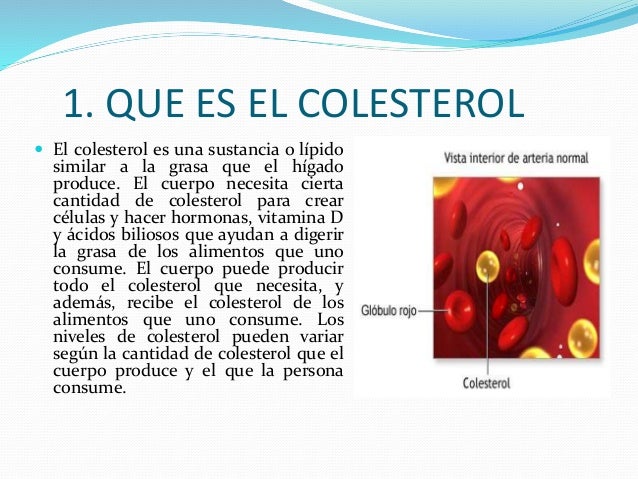 Resultado de imagen para Qué es el colesterol
