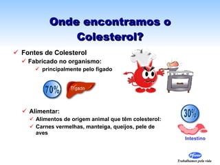 Onde encontramos o Colesterol? Fontes de Colesterol  Fabricado no organismo: principalmente pelo fígado Alimentar: Alimentos de origem animal que têm colesterol: Carnes vermelhas, manteiga, queijos, pele de aves Intestino 