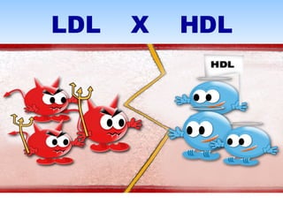 LDL  X  HDL 