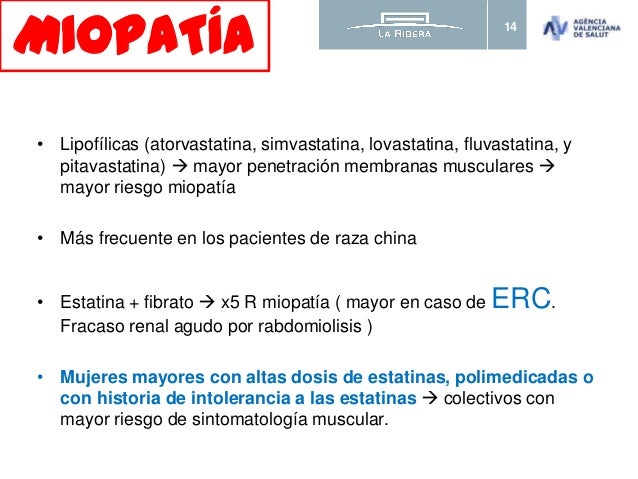 ESTATINAS - Efectos adversos ESTATINAS - Efectos adversos