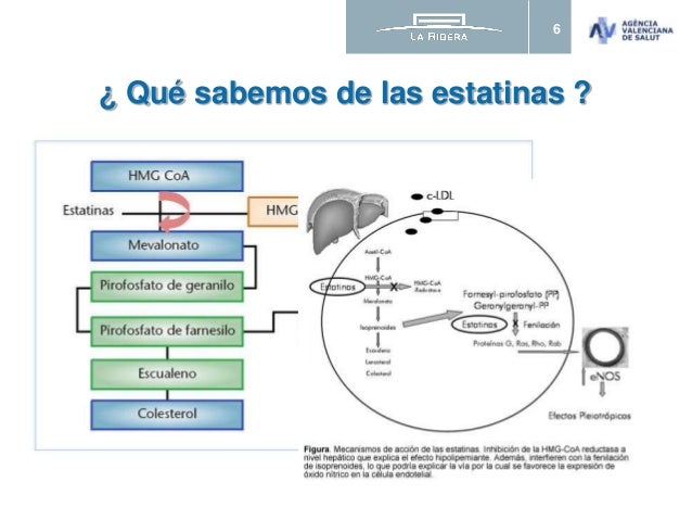 ESTATINAS - Efectos adversos ESTATINAS - Efectos adversos